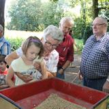 Aalten, Oogstfeest t Noorden, 14 augustus 2016 060.jpg